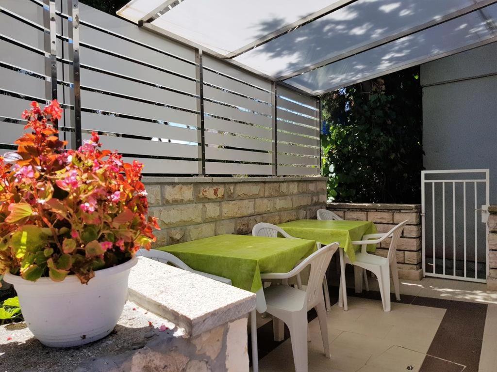 Pool Mansion Magnolia - Comfort Rooms Novalja Εξωτερικό φωτογραφία
